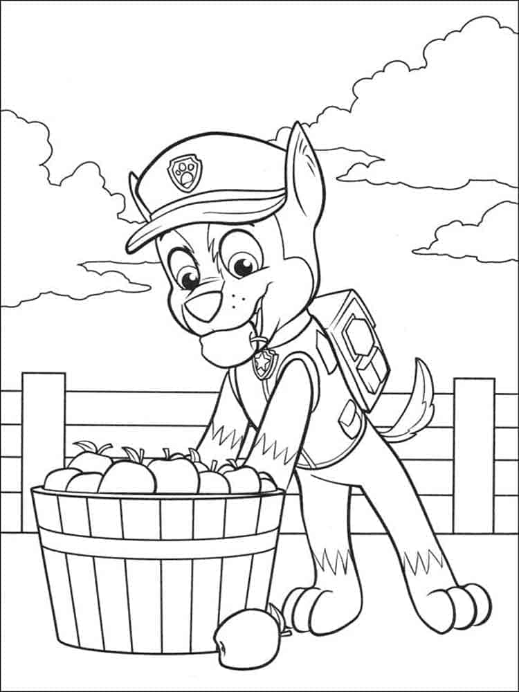 Chase Paw Patrol