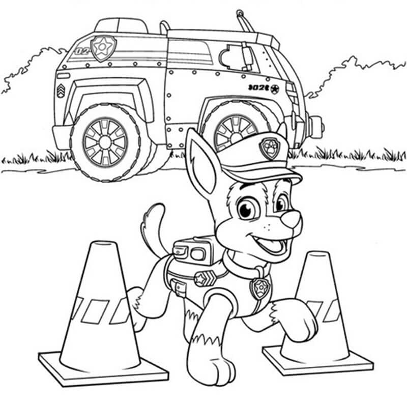 Chase Paw Patrol