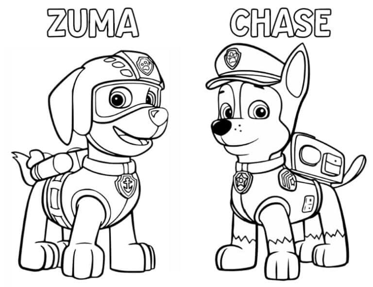 Chase Paw Patrol