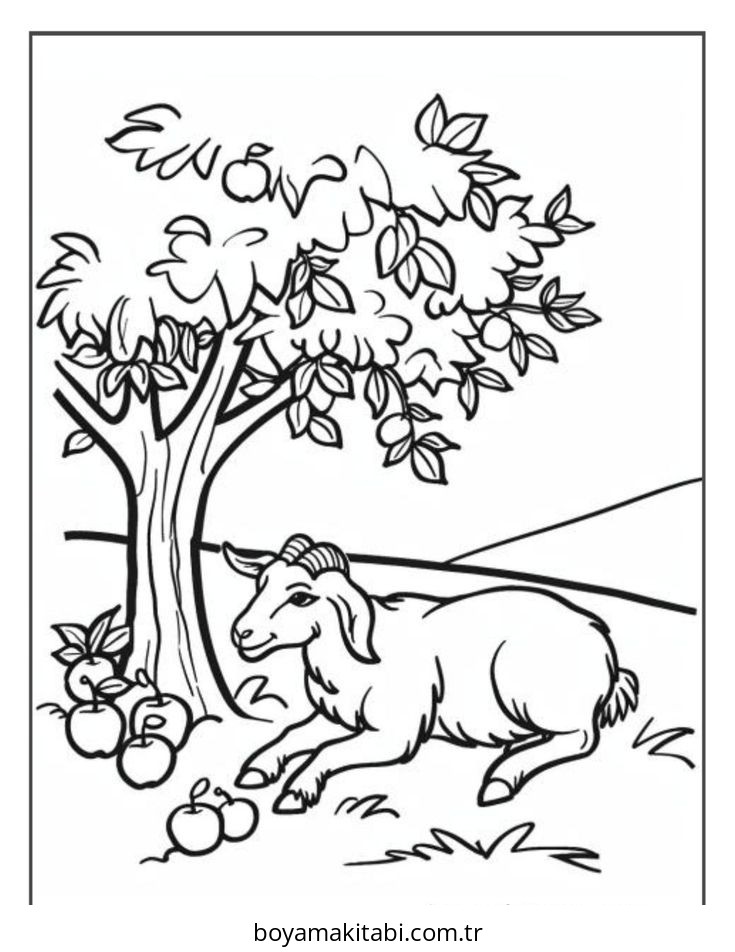 Çiftlik Hayvanları