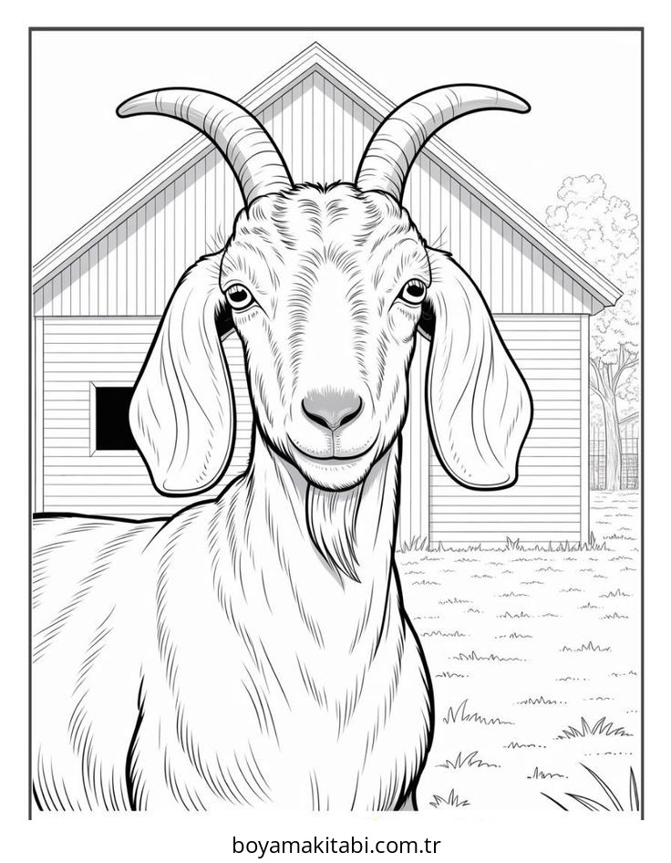 Çiftlik Hayvanları