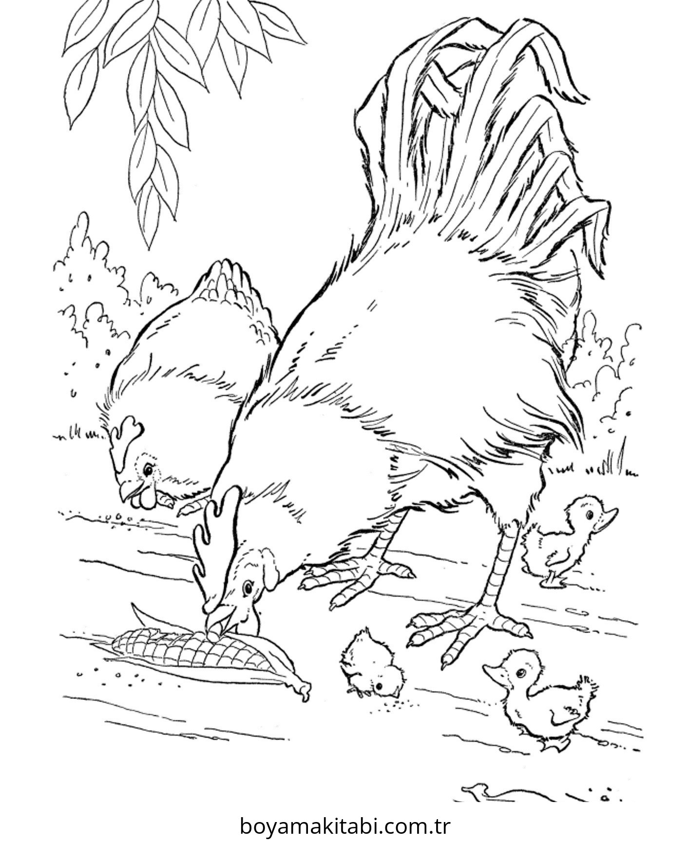 Çiftlik Hayvanları