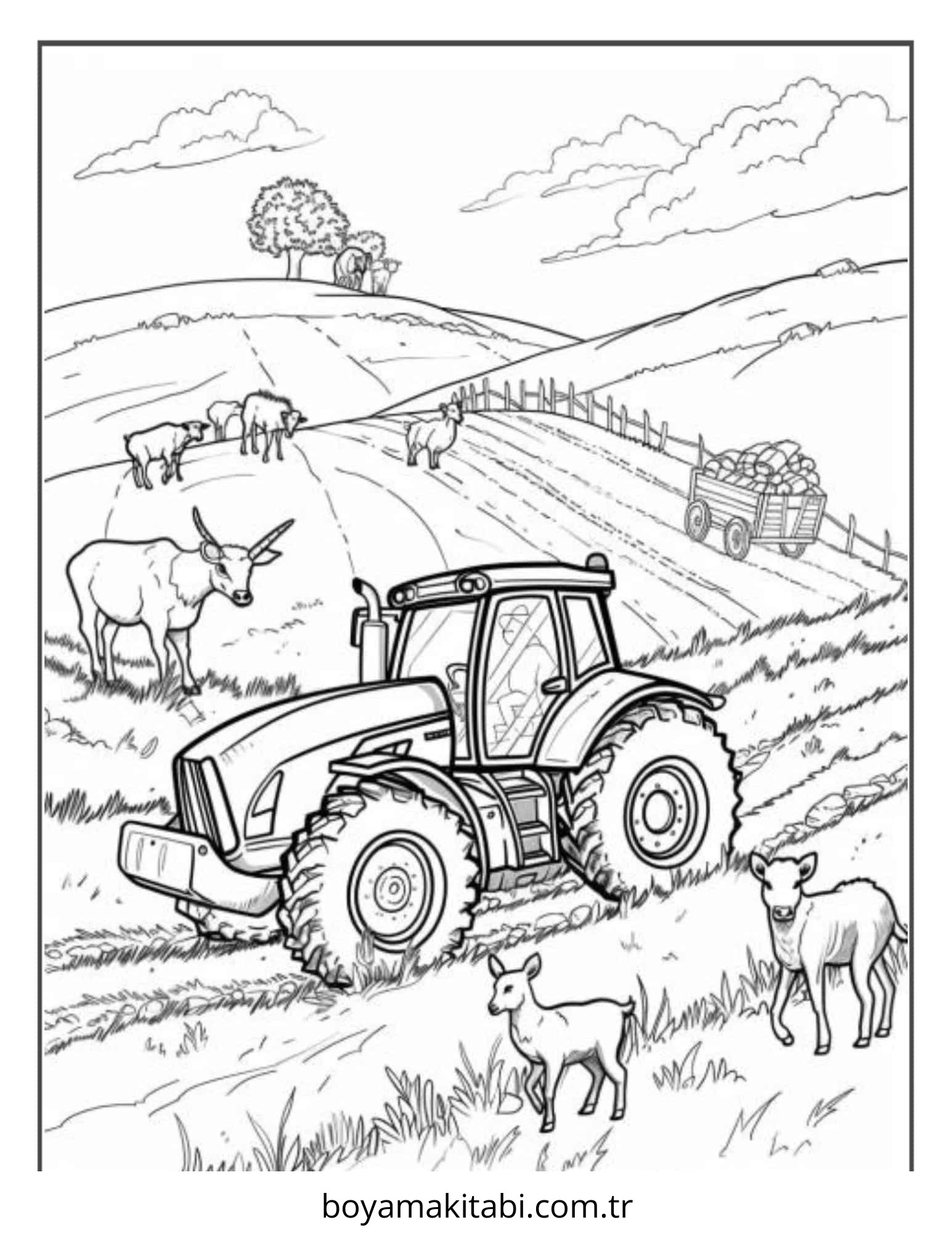 Çiftlik Hayvanları