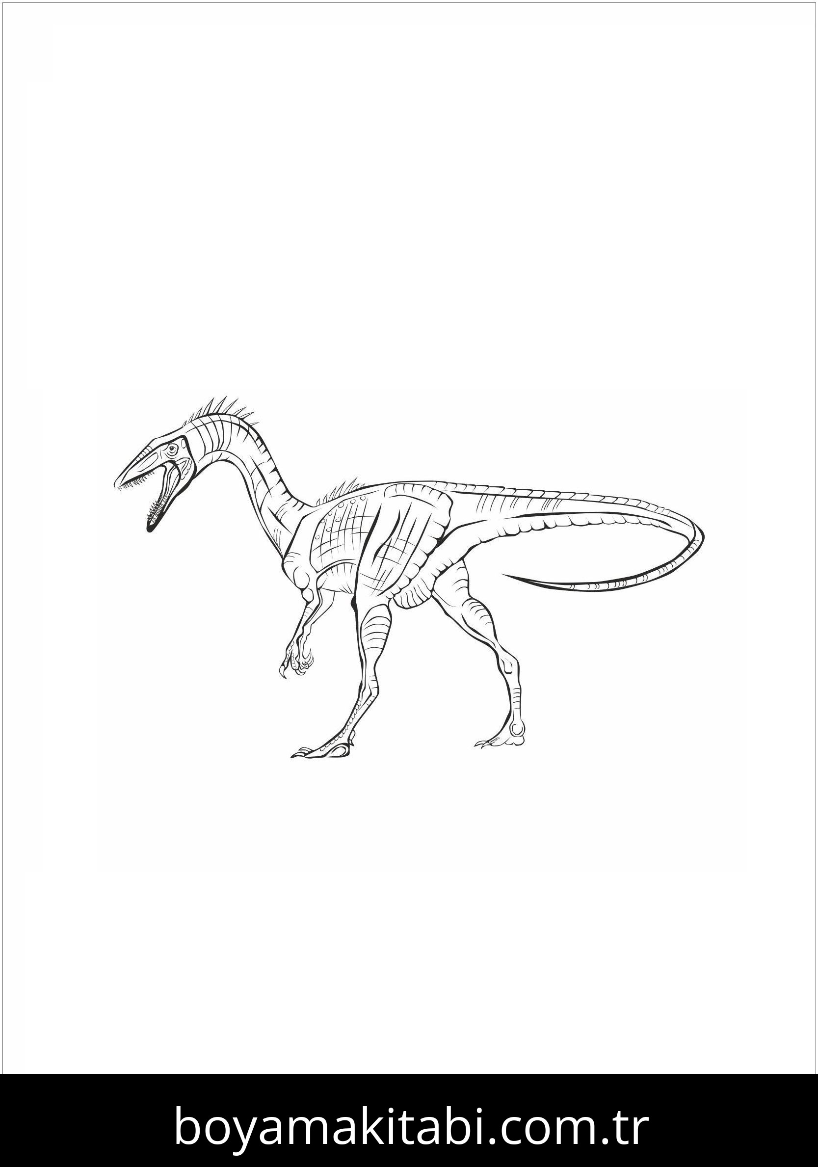 Coelophysis Dinazor