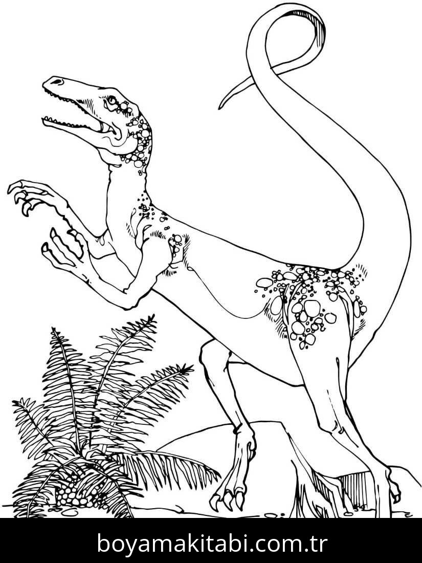 Coelophysis Dinazor