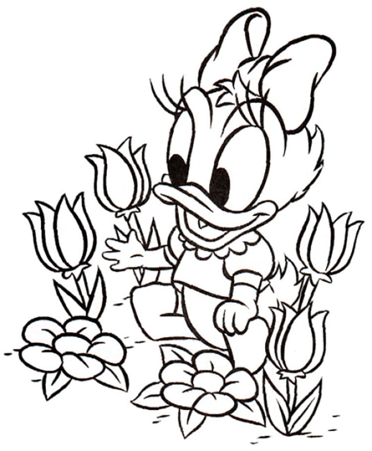 Daisy Duck