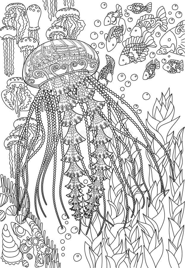 Deniz Anası
