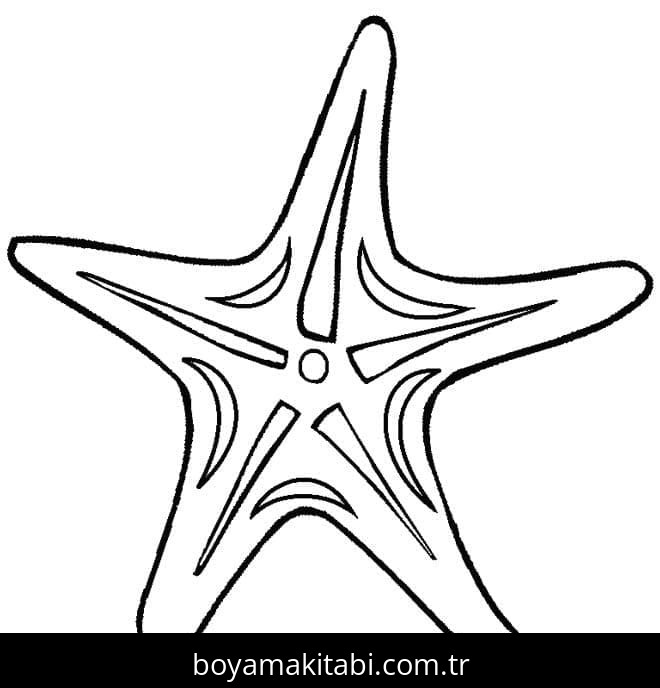 Deniz Yıldızı