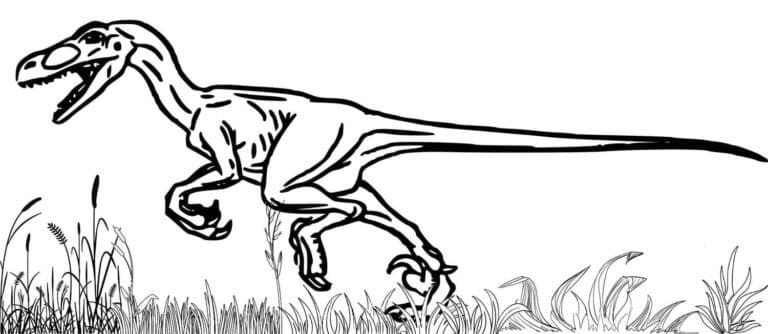 Dinozor