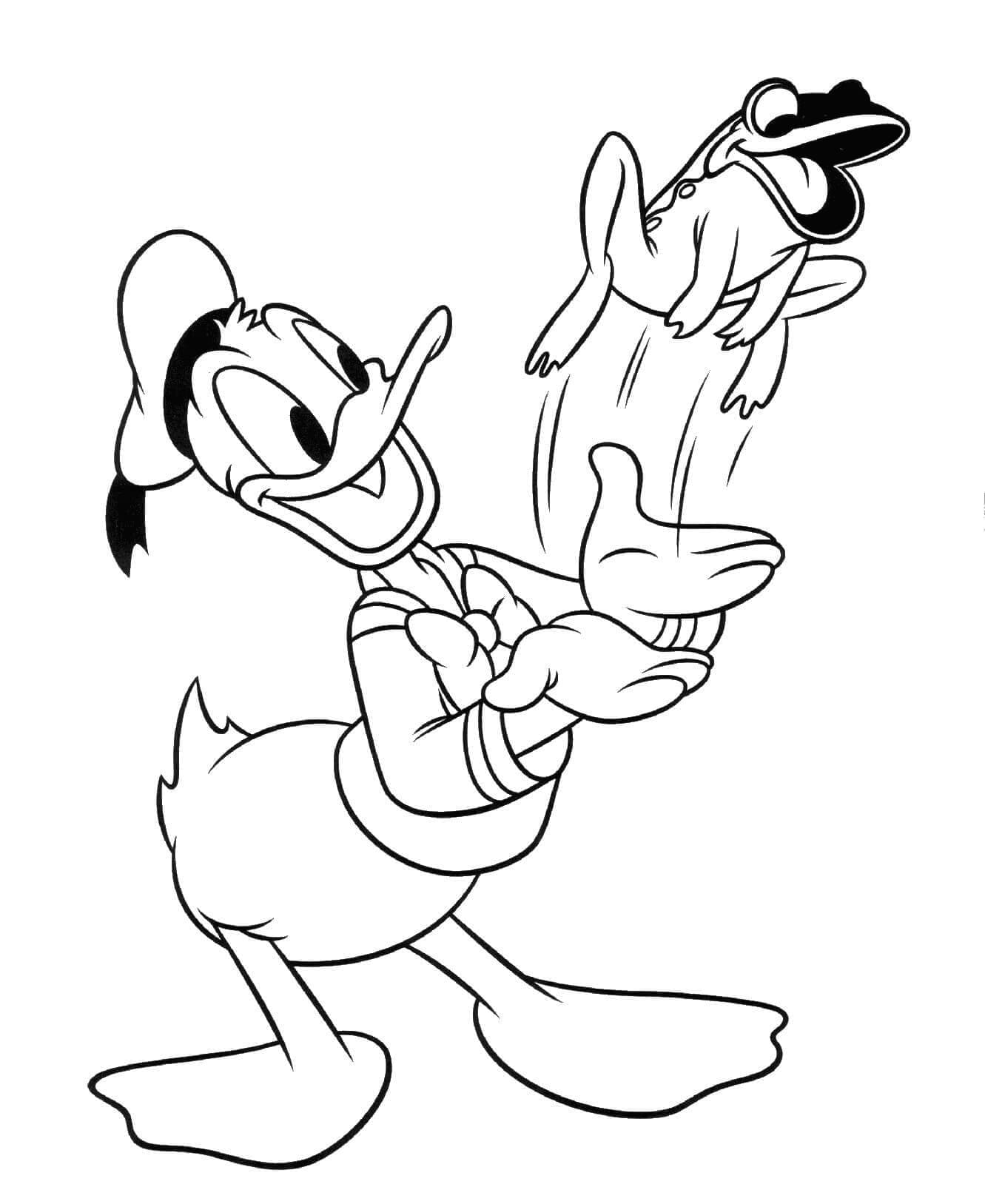 Donald Duck