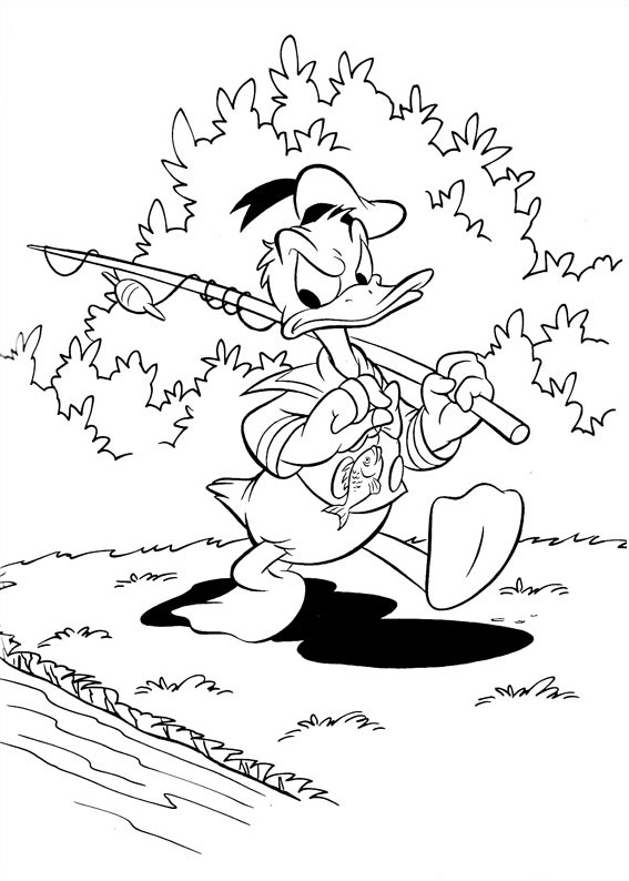 Donald Duck