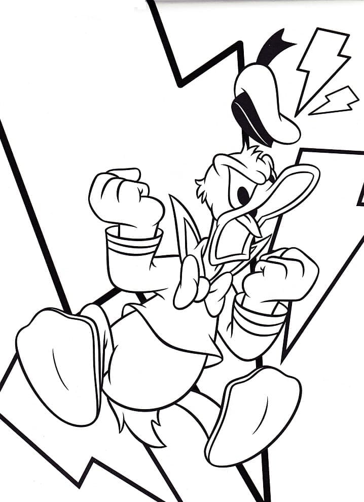 Donald Duck
