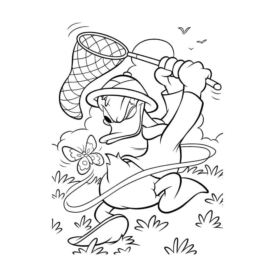 Donald Duck