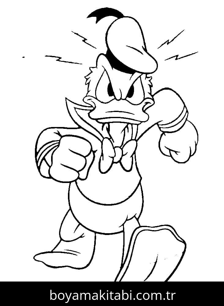 Donald Duck