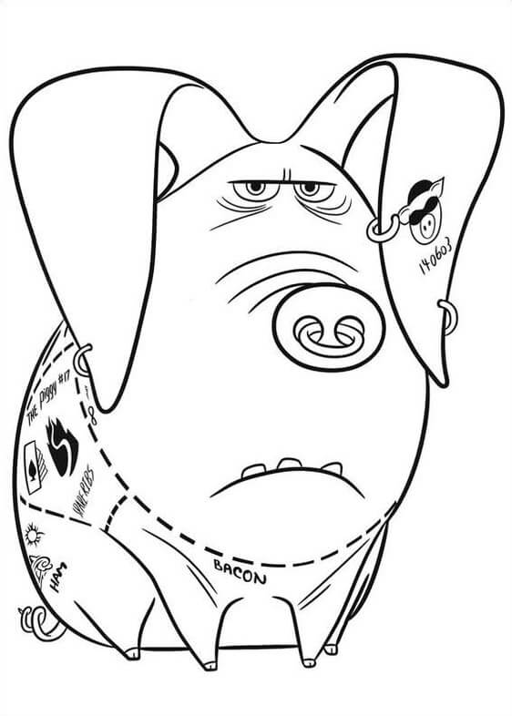 Dövme