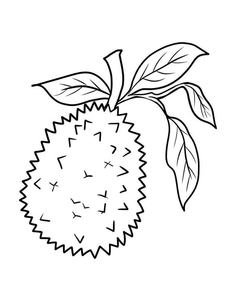 Durian