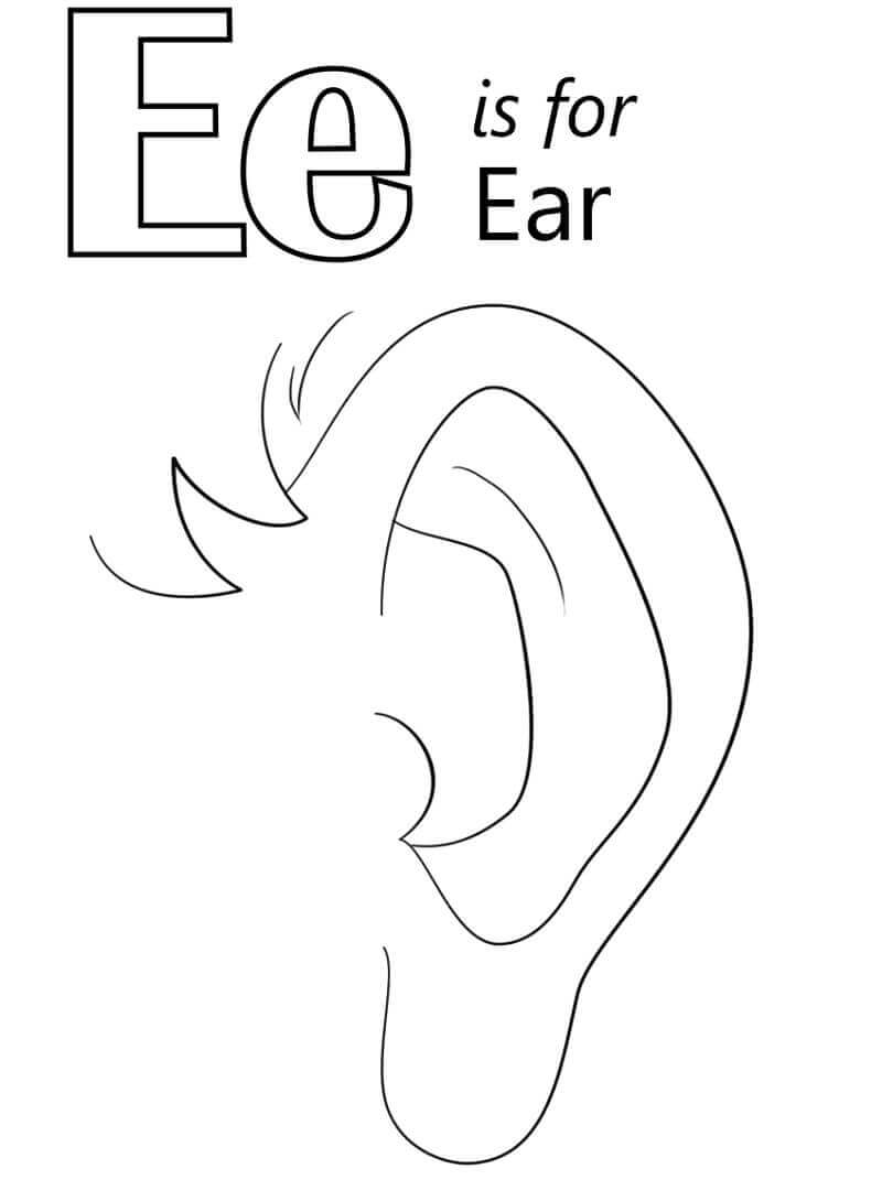 E Harfi
