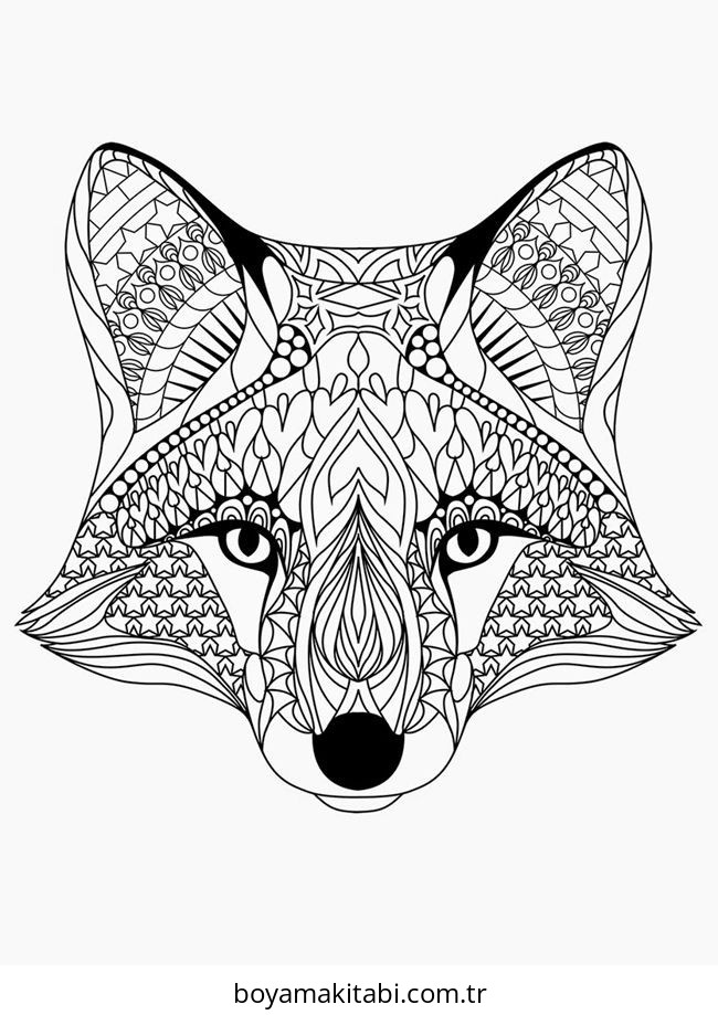 Erkek Çocukları İçin