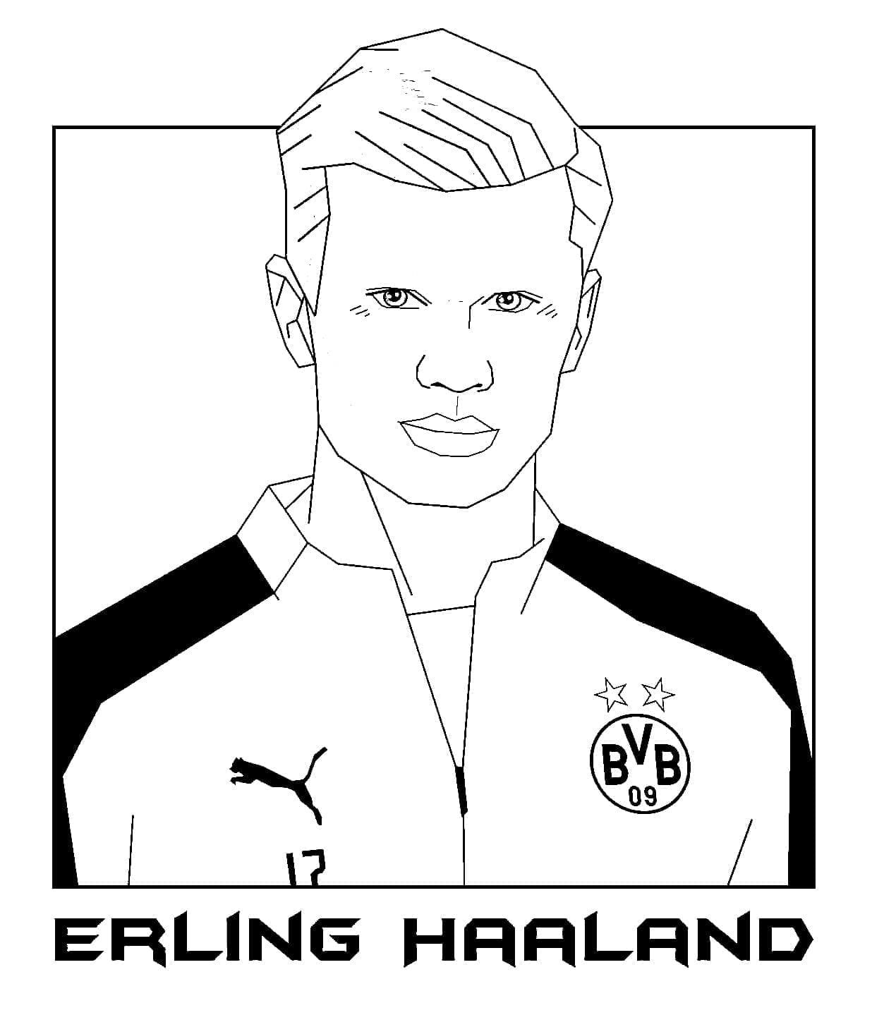 Erling Haaland
