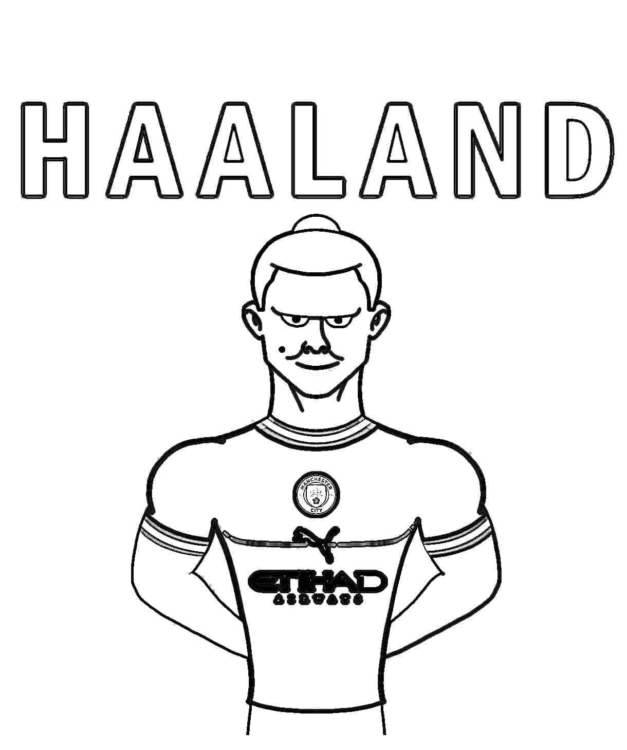 Erling Haaland