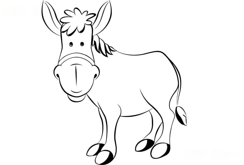 Eşek