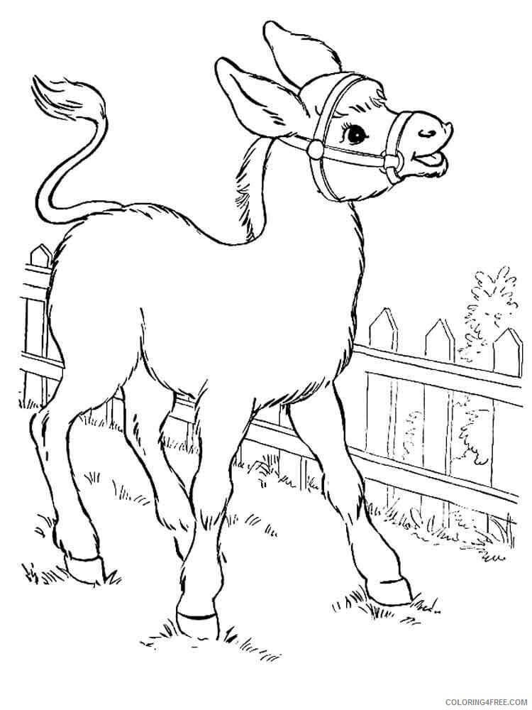 Eşek