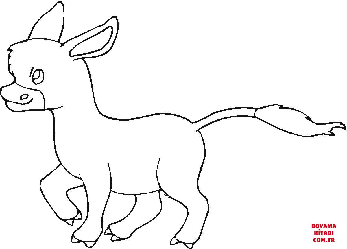 Eşek