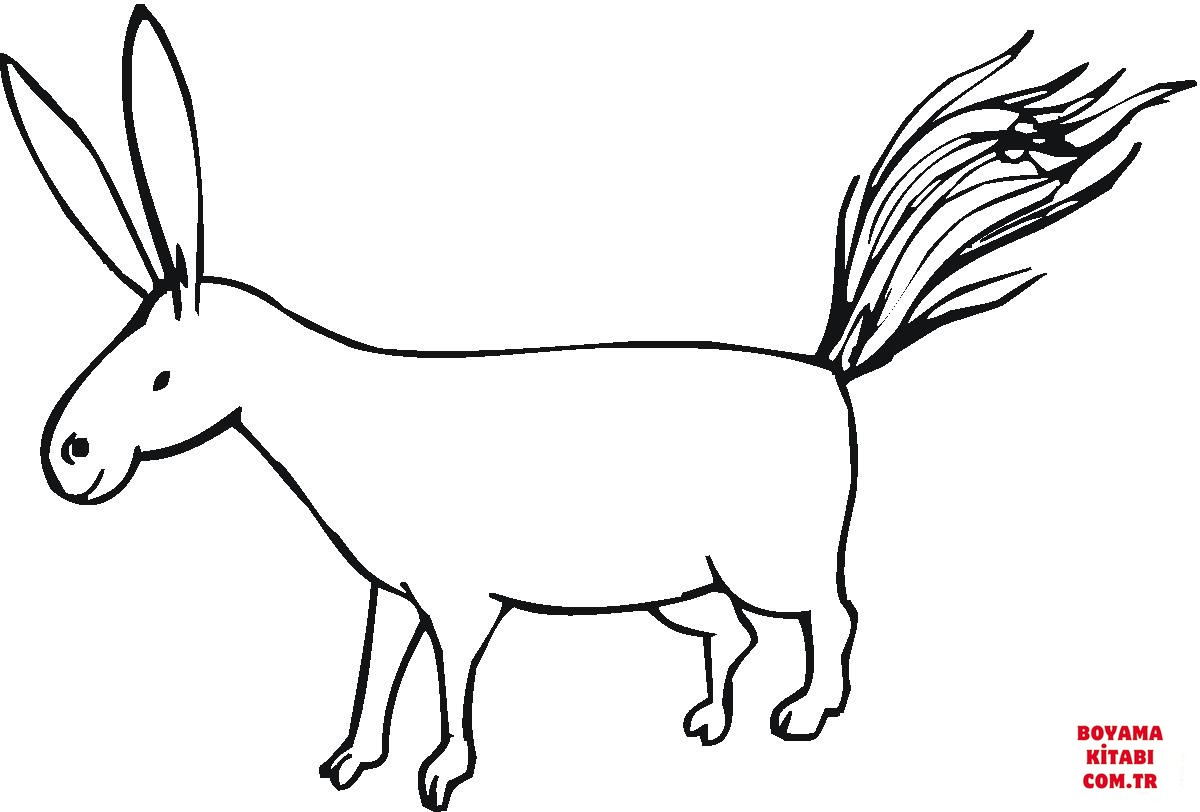 Eşek