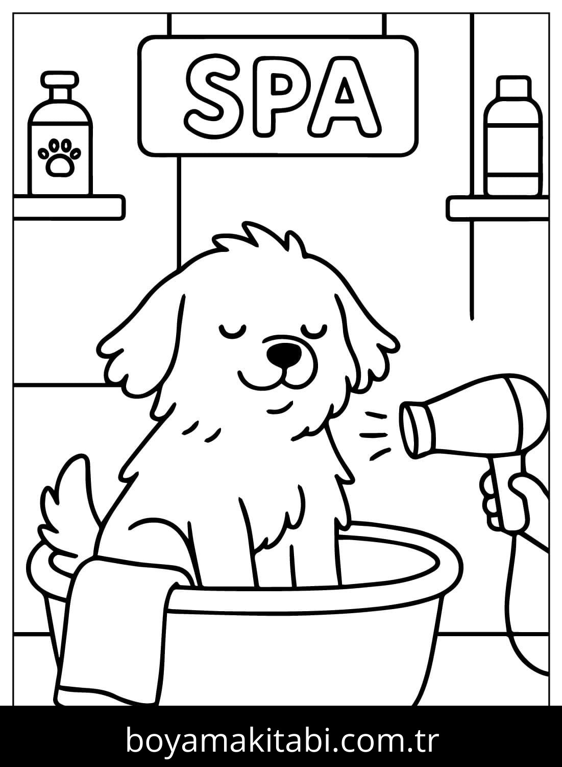 Evcil Hayvan Dükkanı