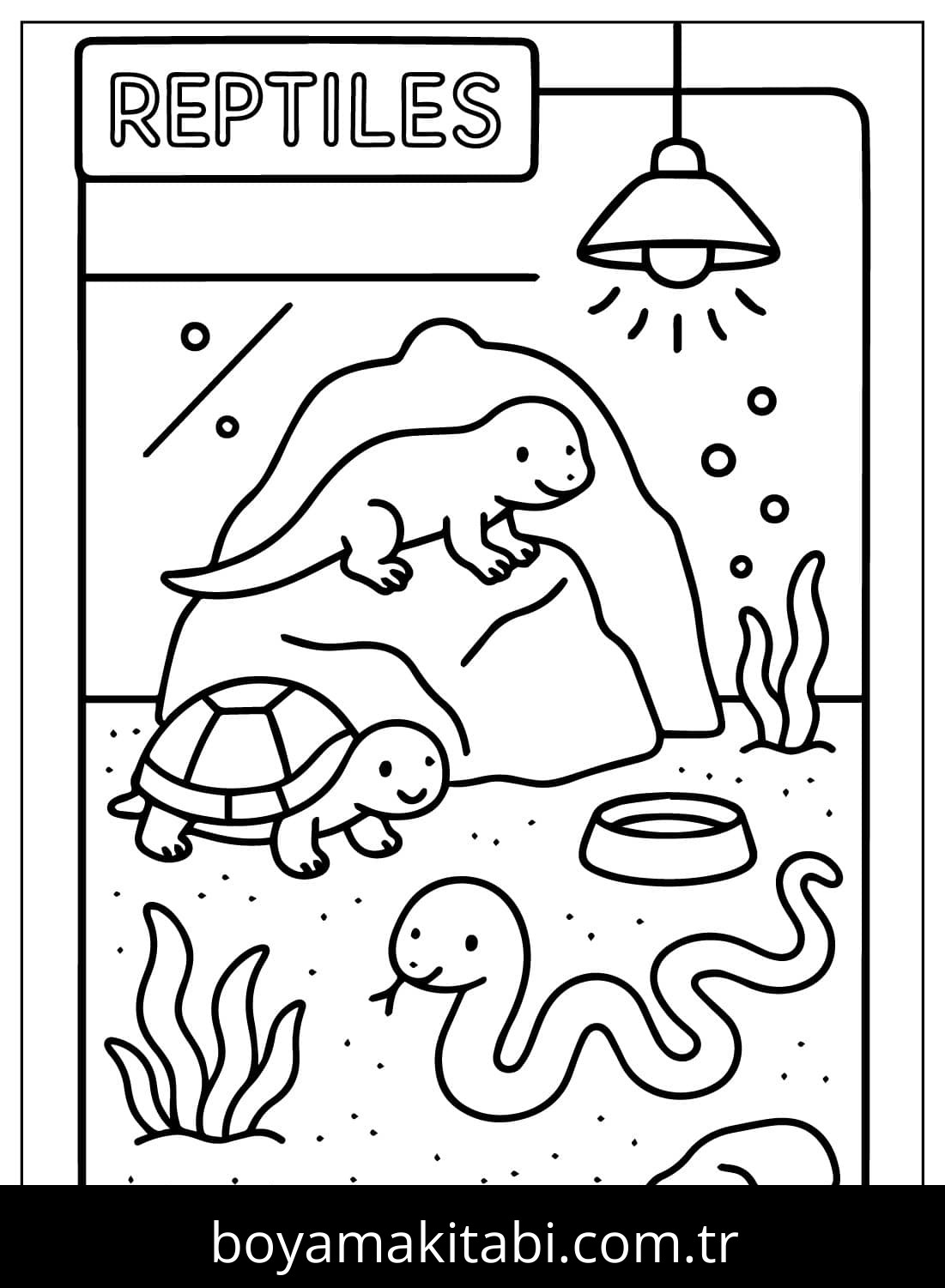 Evcil Hayvan Dükkanı