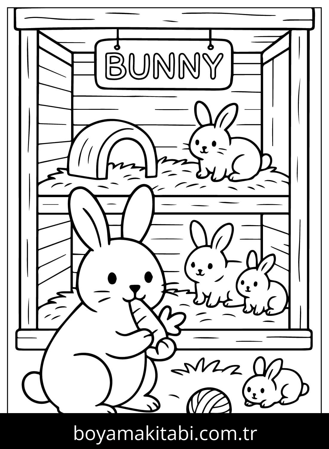 Evcil Hayvan Dükkanı