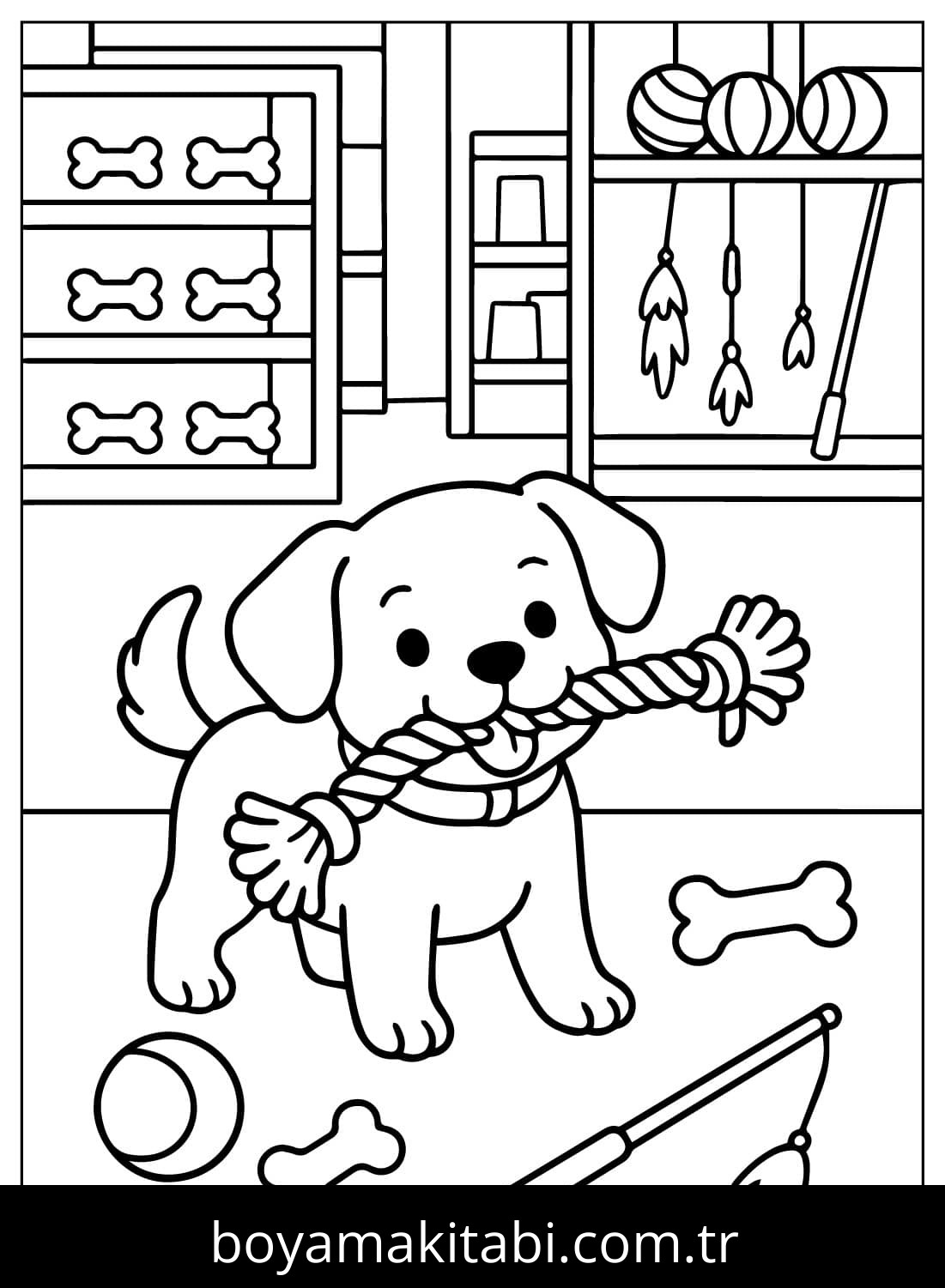 Evcil Hayvan Dükkanı