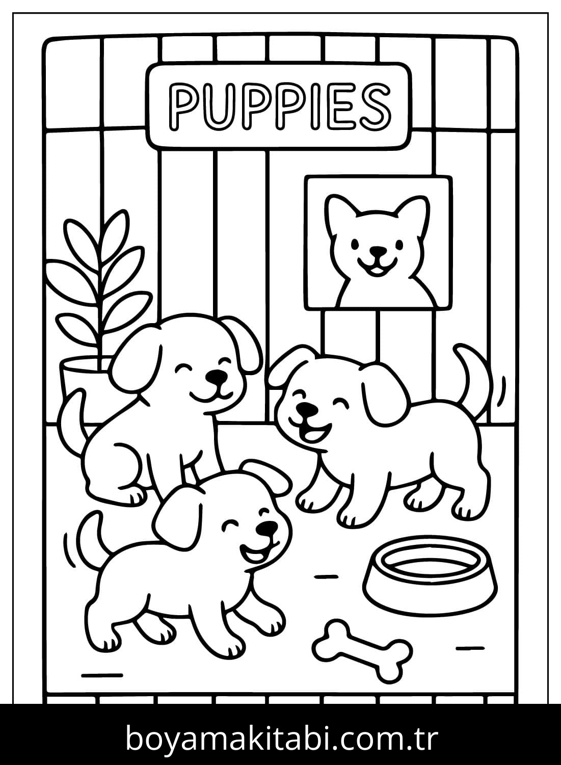 Evcil Hayvan Dükkanı