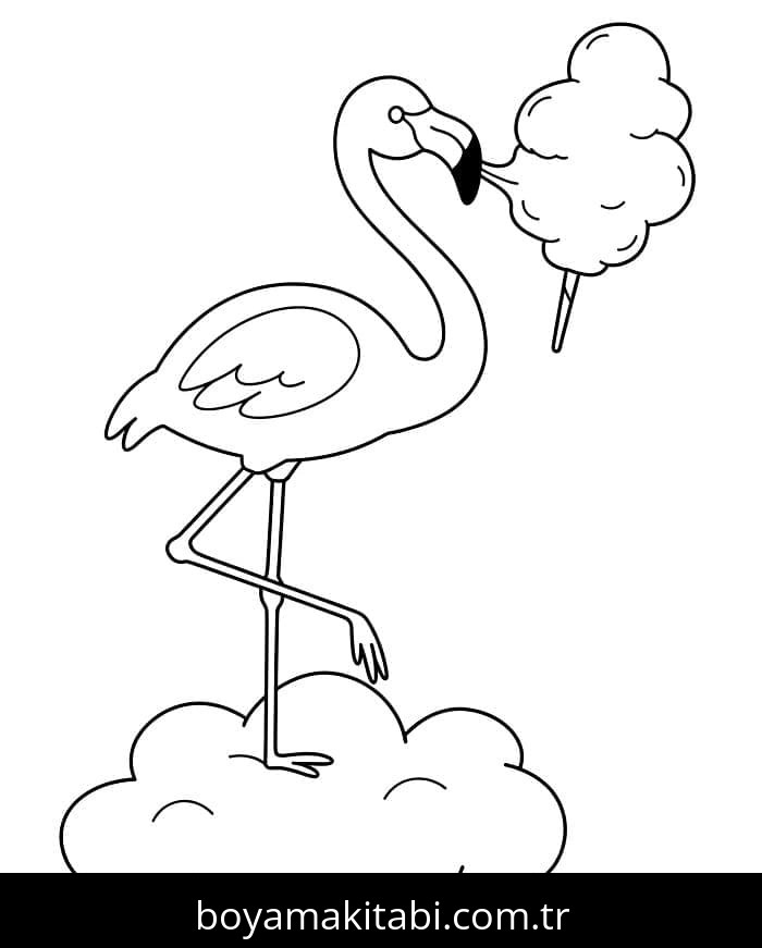 Flamingo
