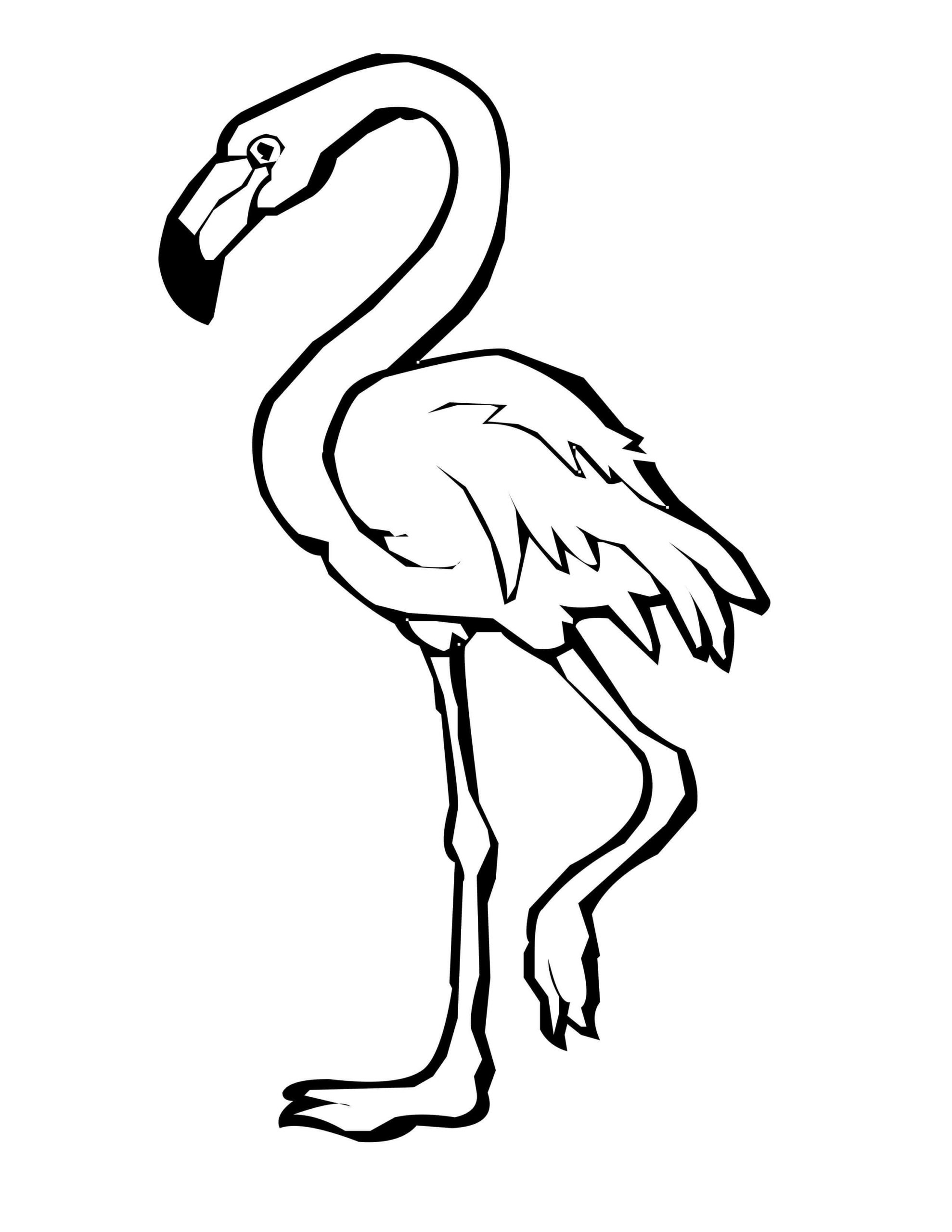Flamingo