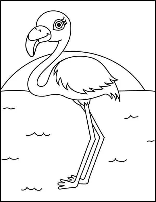 Flamingo