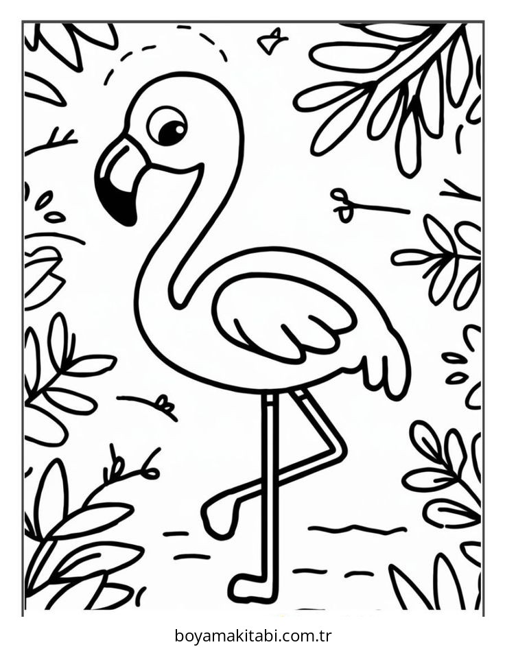 Flamingo