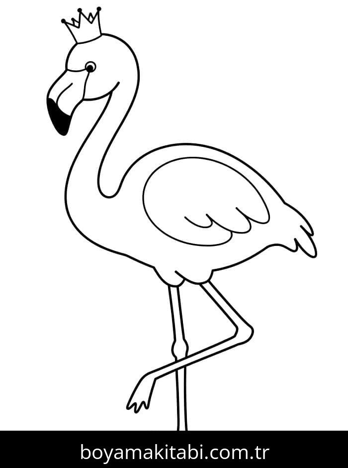 Flamingo