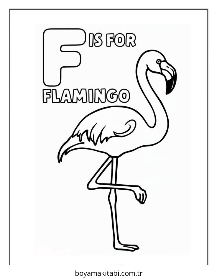 Flamingo