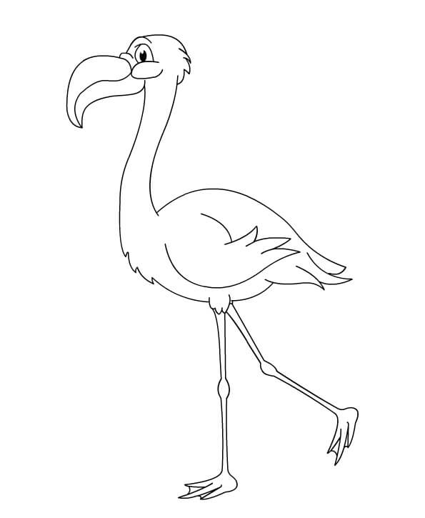Flamingo