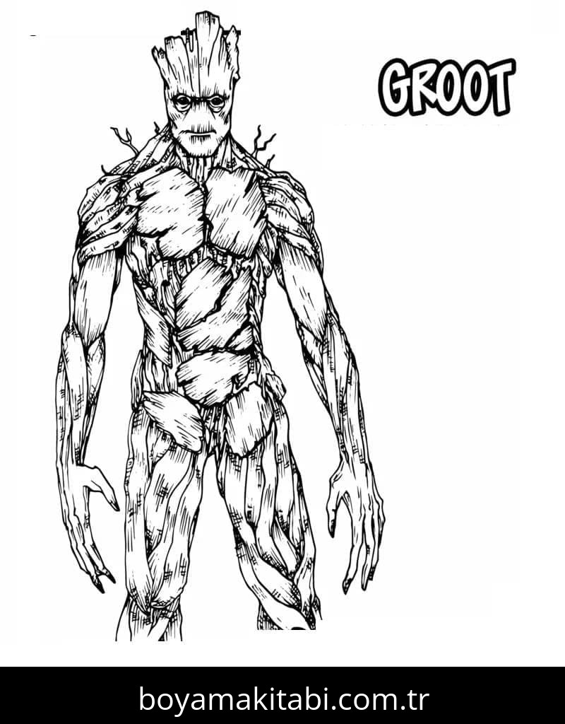 Galaksinin Koruyucuları