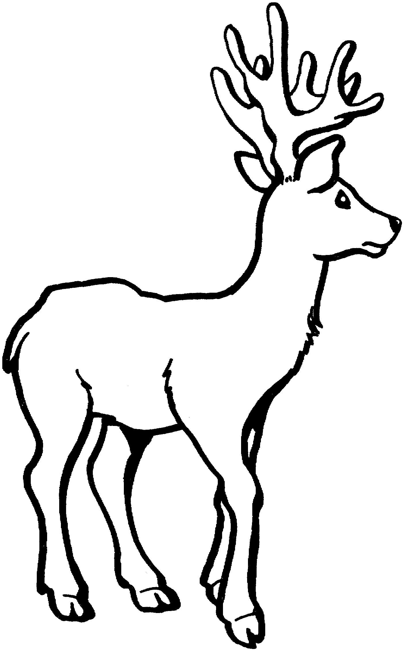 Geyik