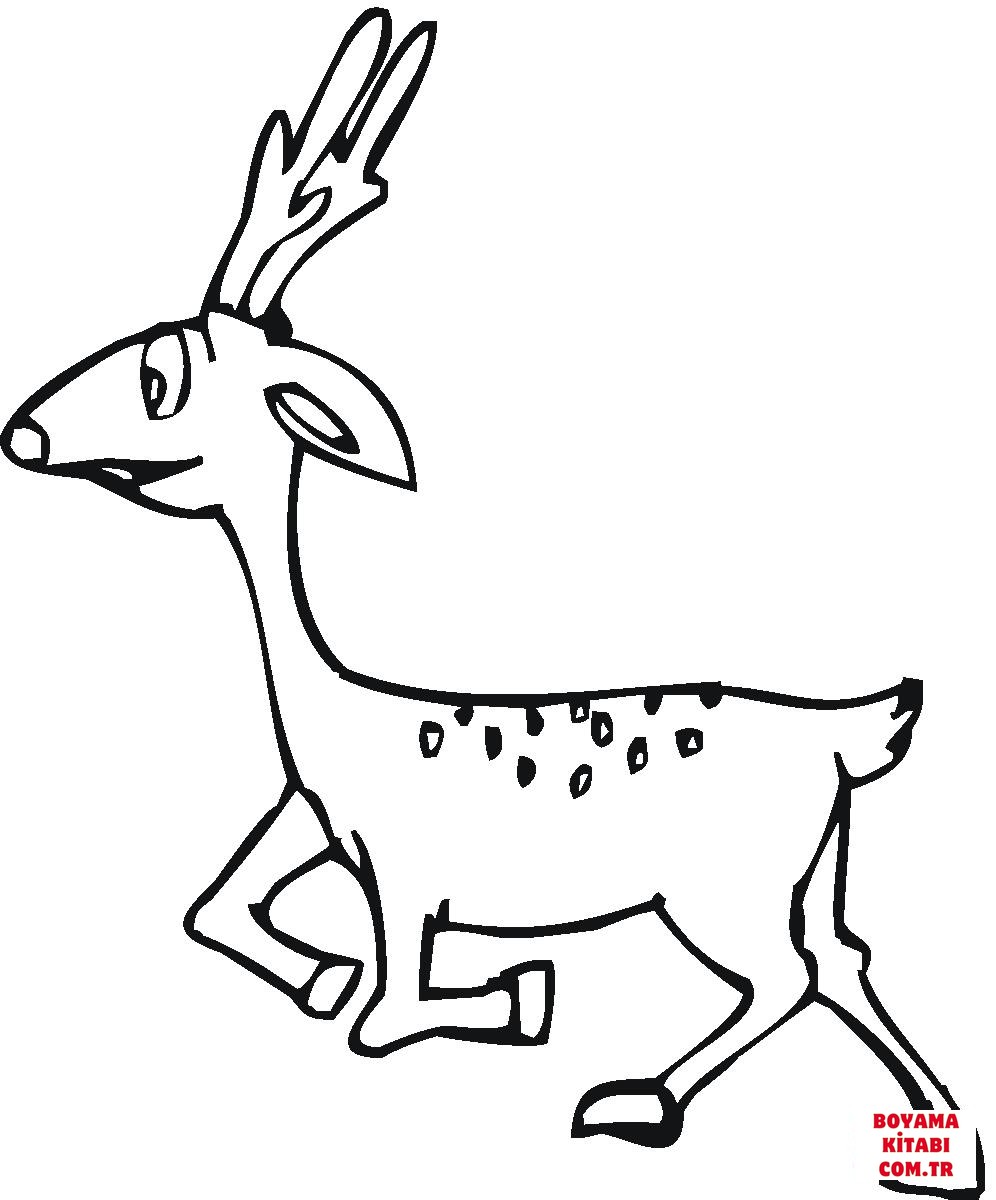 Geyik
