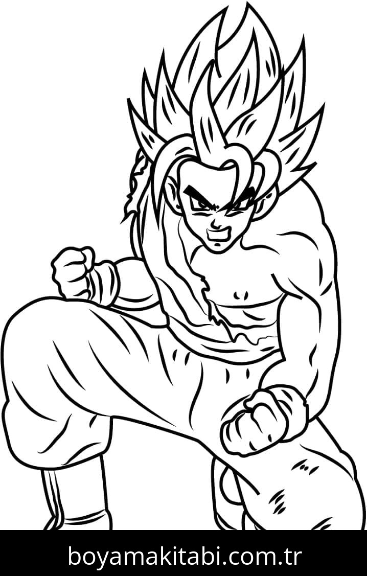 Son Goku