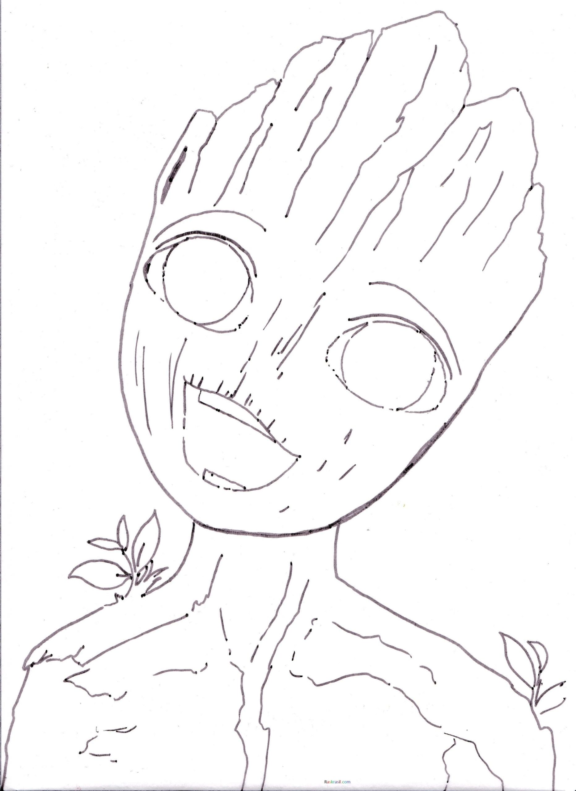 Groot