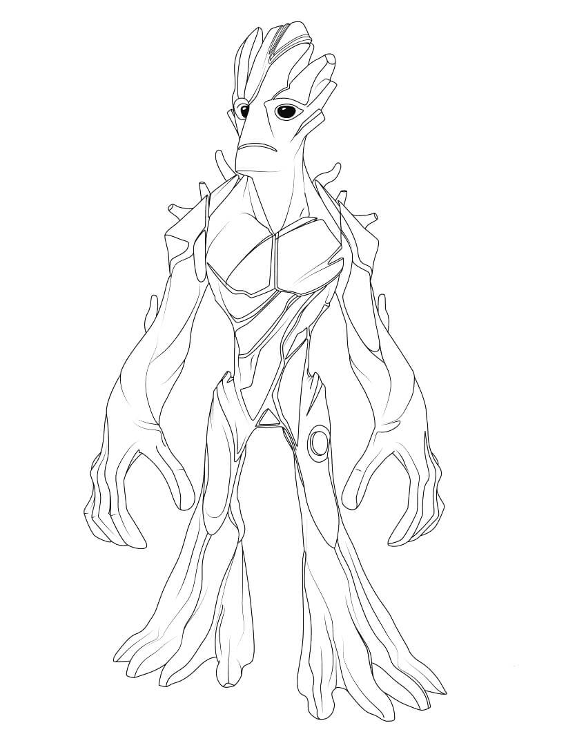 Groot