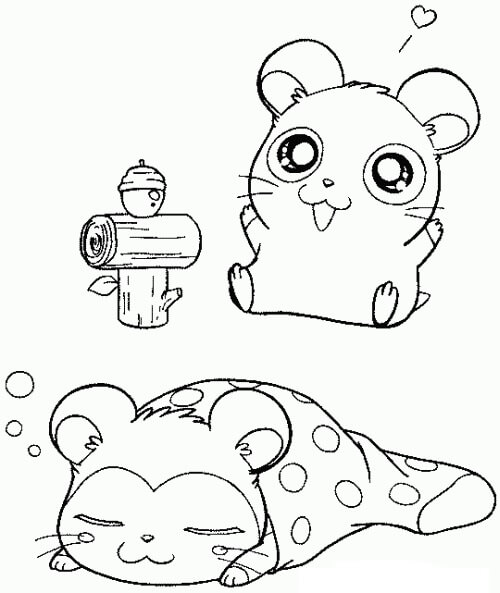 Hamster