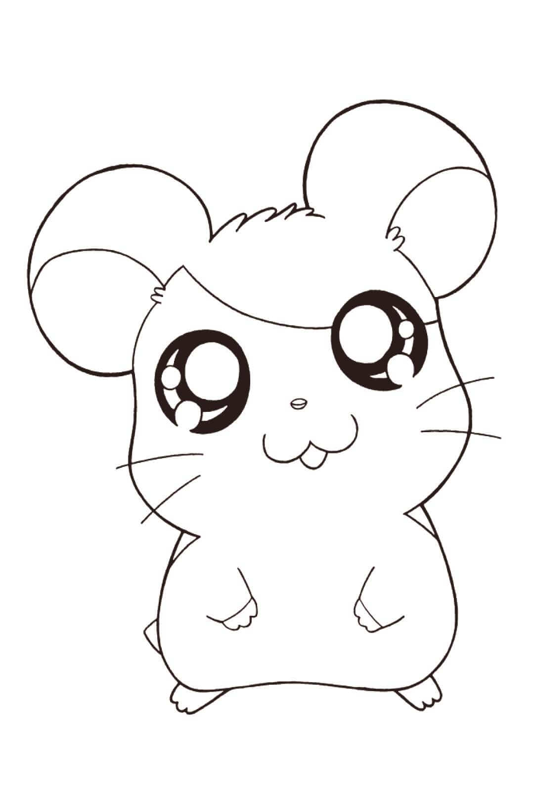 Hamster