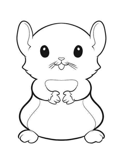 Hamster