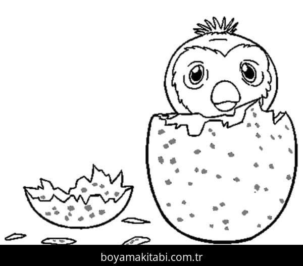 Hatchimals